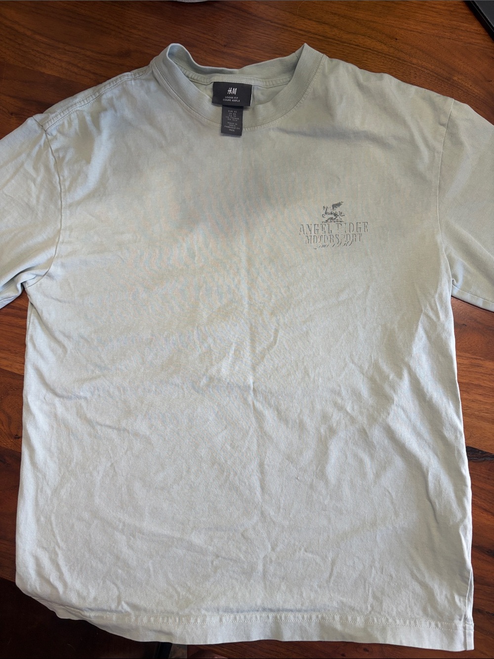 H&M Men’s Pale Sage Short Sleeve Graphic Tee